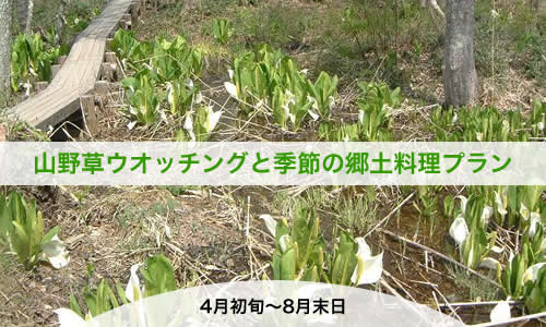 山野草ウオッチングと季節の郷土料理プラン