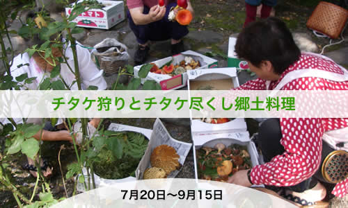 チタケ狩りとチタケ尽くし郷土料理